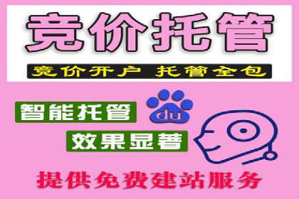 百度推广代运营公司成功案例解析